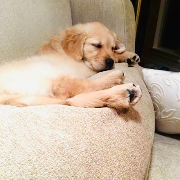 Meet your Posher, April - Picture 1 of 1